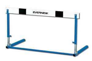 Goj[(EVERNEW) n[hES|1 ywZpzEGA111