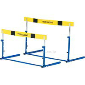 yzg[GCCg (TOEI LIGHT) Nb`n[hEVA2F G-1179