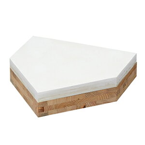 g[GCCgiTOEI LIGHTjؑtz[x[X100@B2693