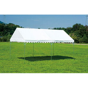 �g�[�G�C���C�g (TOEI LIGHT) �W��e���gBTE2030 G-1988