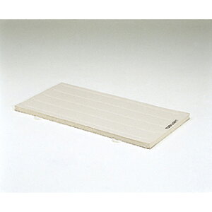 yzg[GCCg (TOEI LIGHT) X|W}bgi9zj120x600 T-2460