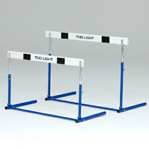 yzg[GCCg (TOEI LIGHT) n[hsABS-1F G-1308