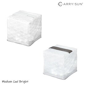 CARRY THE SUN(キャリーザサン) ミディアム クールブライト