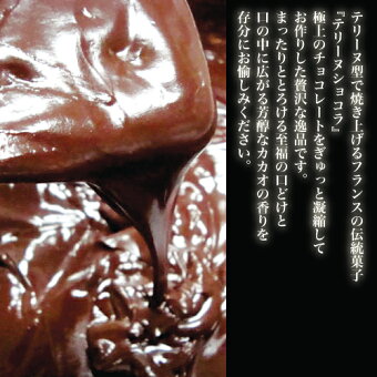 テリーヌショコラ