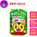ロッテ しまじろう キシリトールタブレット 賞味期限2026年11月 (グレープ、イチゴ)30g ×10袋　歯科医推奨 子供人気