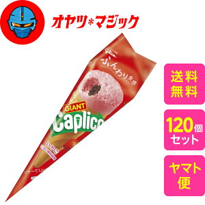 yz]OR WCAgJvRij 1{×10×12P[X@120 GAC`R[g C`S  Caplico 䕃`R