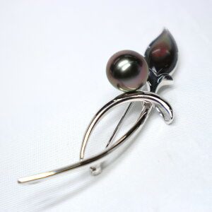 ^u[`i10.0mmjy^ ^ m^ u[` p[u[` tH[}ANZT[ p[ tH[}    w Ǝ  p[eB[ 