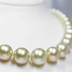 8.0mm`12.0mmi`S[hmp[lbNXym^zy^zyS[fp[zyS[hp[zywzyzyƎzyzyzyfC