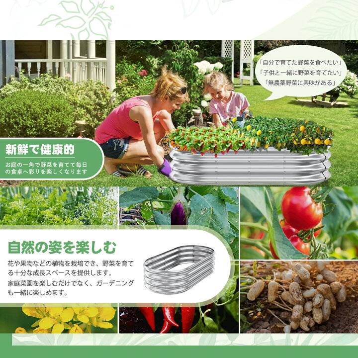 楽天市場】＼P10倍☆16日限定！／【楽天1位・最強配送・防腐 