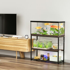 ySSz+10{PIyV1ʘA܁ŋzzDEWEL  90cm 60cm  bN v^[ X^h   P[X b Mы 2i [  4F s30cm EbhfR