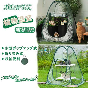 ySX5{P}\N[|zrj[nEX ܂ ~j ƒp ^ |bvAbv A ϗtA Œpst ΍ 悯 ΍ rj[ UVh~ z[ PVCJ