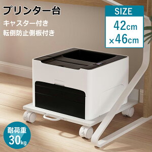 v^[ LX^[t 42×s46cm ω׏d30kg ړ\ v^[S t ]|h~t PCS PC[{bNX o  ItBX @  [ DE