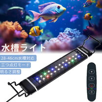楽天市場】水槽 3色 ledの通販
