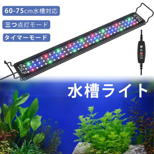 yX[p[Z[/5{P10tz ŋz Cg LEDCg ^C}[t 3̏Ɩ[h 10iK邳 60-75CM̐Ή pCgXCh ȃGl  vX`bN 