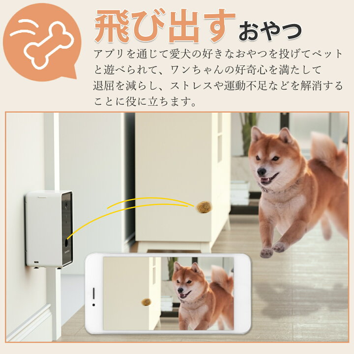 楽天市場】☆限定8％OFF☆【1年保証】Iseebiz ペットカメラ ペット自動 