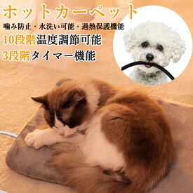 【初夏応援SALE10%OFF券】ISEEBIZ ホットマット 冷え性対策 ミニ ホットカーペット ペット ホットカーペット PSE認証済 カバー付 50*45CM ホットマット ヒーター 10段階温度調節 3段タイマー 電気マット 噛み防止 防水 水洗い可能 過熱保護機能 冬場