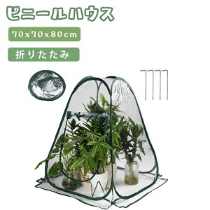 yG߂̕ς艞8{P&8%tz rj[nEX ^ rj[ ܂肽 |bvAbv A PVCJo[ 656373cm z[ ԉ ƒp ΍ ۉ h h h 
