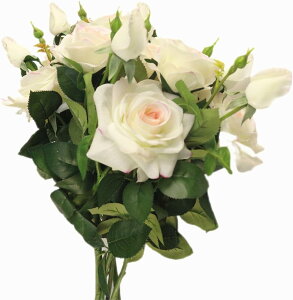 yBF10{P10OFFz  CeA o [Y KN  ԑ  CeA A[gt[ ϗtA ł ̓ v[g