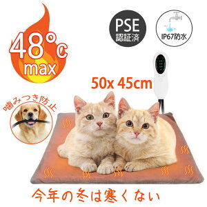 yBF10{P10OFFz yV1ʊl! zbgJ[ybg dCJ[ybg ~j L Jo[   ybg Q ݂h~ ybgpq[^[ ybg J[ybg 10ix 3i^C}[@