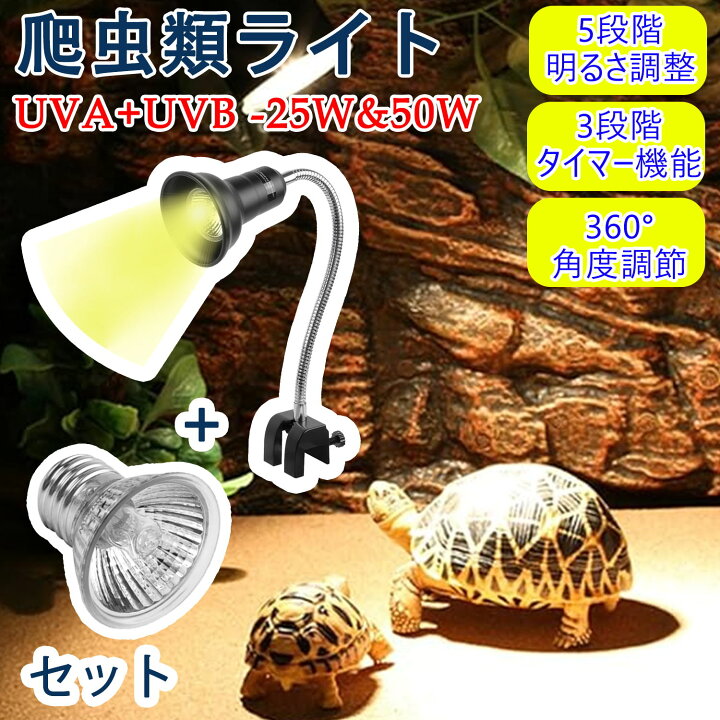 楽天市場】楽天1位獲得【夏の快適生活応援最大15%OFF券】 爬虫類ライト 