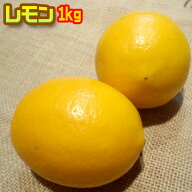 農薬不使用レモン1kg 　化学肥料不使用　防腐剤ワックス不使用　わけあり※　無農薬　表示について　「無…