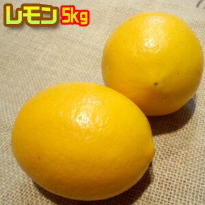 y11{̔ĊJz_sgp5kg w엿sgp@h܃bNXsgp@킯@BY@@_@\ɂā@u_vuw엿v̕\͍̃KChC