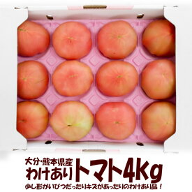 大分・熊本県産　わけありトマト4kg