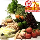 【7品+おまけ1品】おまかせ詰め合わせ九州野菜セット【送料無料】【RCP】