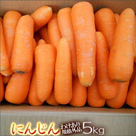 にんじん5kg　農薬不使用　化学肥料不使用人参　わけあり規格外品　　にんじんジュースに　ニンジン　お…