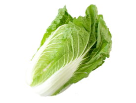 熊本県産　白菜1個