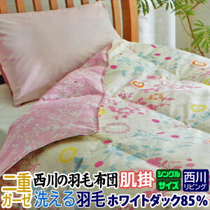 y݌Ɉ|z H |zc VOTCYMEE 샊rO Hє|ӂƂ i COhY zCg_bN_E 85% VO Hѕzcizcj _EPbgH