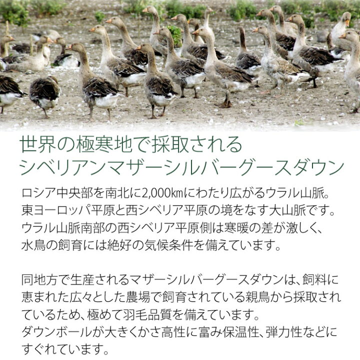 楽天市場】＜西川 羽毛布団 シングル＞シベリア マザーグース ユニ  