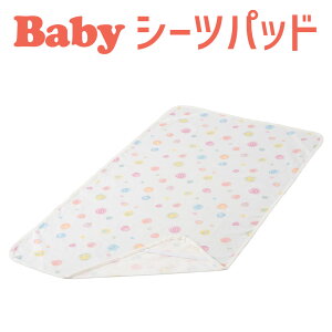 xr[zcJo[ tWL Jthbv xr[pV[cpbh _uK[[ y{zyxr[Q xr[zcp ~pbh ~V[c V xr[pi ۈ牀z