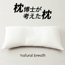 枕 枕博士が考えた枕 ナチュラルブレス レギュラータイプ 枕のプロが開発した、寝返りを打ってもゆとりのあるワイドサイズの安眠枕 【まくら 横長 寝返り横長枕 寝返りしやすい 寝返りがしやすい枕 低い 低め 低めの枕 わた】 お中元 夏ギフト 日用品 実用的