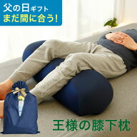 父の日 まだ間に合う 王様の膝下枕 （足をドサっと乗っけるだけで足や腰が楽になるリラックス枕）超極小…