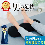 父の日 まだ間に合う 男の足枕 （日本製 「王様の足枕」に消臭機能が付いた男性向け足まくら） 超極小ビ…