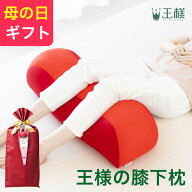 【楽天1位】王様の膝下枕 （足をドサっと乗っけるだけで、足や腰が楽になるリラックス枕）超極小ビーズ …