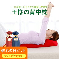 王様の背中枕（背中スッキリ！自然と胸が開いて気持ちいいリラックス枕）日本製 ビーズクッション 反り腰…