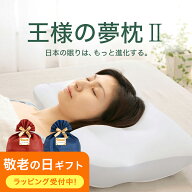 【楽天1位】王様の夢枕2 （100万人以上の安眠を支え続けてきた日本製の安眠枕） 超極小ビーズ 寝返りしや…