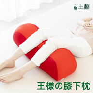 【楽天1位】王様の膝下枕 （足をドサっと乗っけるだけで、足や腰が楽になるリラックス枕）超極小ビーズ …