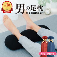【楽天1位】男の足枕 （人気商品「王様の足枕」に消臭機能が付いた男性向け足まくら） 超極小ビーズ メン…