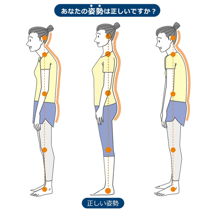 楽天市場 王様の背中枕 ゴロンと寝転ぶだけで背中を伸ばすことができるストレッチ枕 背中枕 腰枕 クッション 反り腰 平背 猫背 肩 肩甲骨 姿勢 室内 健康 寝ながら エクササイズ ギフト プレゼント ポール 伸ばし ホワイトデー お返し 雑貨 母の日 父の日 花以外