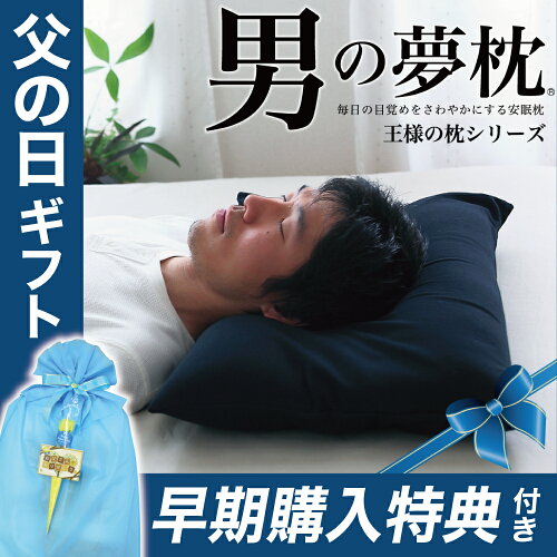 【王様】男の夢枕