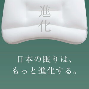 楽天市場 新 王様の夢枕 枕カバー付き 100万人が安眠 あの王様の夢枕がさらに眠りやすく進化し15年ぶりのリニューアル 枕 まくら ビーズ 日本製 快眠 安眠 プレゼント ギフト 王様の夢枕2 寝返り 高め 低め 仰向け 横向き N 1 クリスマス プレゼント 枕