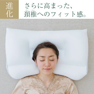 楽天市場 新 王様の夢枕 枕カバー付き 100万人が安眠 あの王様の夢枕がさらに眠りやすく進化し15年ぶりのリニューアル 枕 まくら ビーズ 日本製 快眠 安眠 プレゼント ギフト 王様の夢枕2 寝返り 高め 低め 仰向け 横向き N 1 クリスマス プレゼント 枕