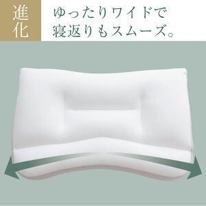 楽天市場 新 王様の夢枕 枕カバー付き 100万人が安眠 あの王様の夢枕がさらに眠りやすく進化し15年ぶりのリニューアル 枕 まくら ビーズ 日本製 快眠 安眠 プレゼント ギフト 王様の夢枕2 寝返り 高め 低め 仰向け 横向き N 1 敬老の日 ギフト 枕と眠り