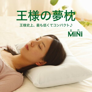 王様の夢枕 枕 通販 価格比較 価格 Com