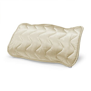 SILK SKIN THE GOLD 2 ���p�b�h �i�\�S�ʂɁu�V���N�X�L���v���g�p�����ґ�Ȗ��p�b�h�j�V���N�X�L�� �U�S�[���h 45×65 �p�b�h �􂦂� ����\ ���G�� �Ȃ߂炩 ���� ���O�W���A���[ �� ���e ����