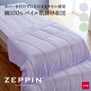 ZEPPIN �p�C�� ���|���z�c �i�z�c�����ǃ^�I���̂悤�Ȕ��G��́A�^�I���P�b�g�ƕz�c�̂����Ƃ�������킹���|���z�c�j�[�b�s���p�C�� �����z�c �y�� �g���� �^�I���n �􂦂� ���{�� �y�� 
