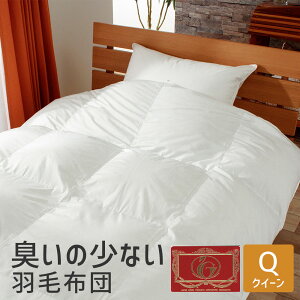 L̏ȂHѕzc NC[O  210×210cm LERۉHHтgpyĒgHѕzc yGNZS[hz (zCg_bN_E90) (Hxt) yH zc 